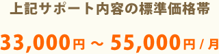��{�T�|�[�g���e�̉��i�� 33,000�~�`55,000�~/��