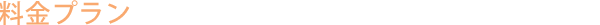 �����v����